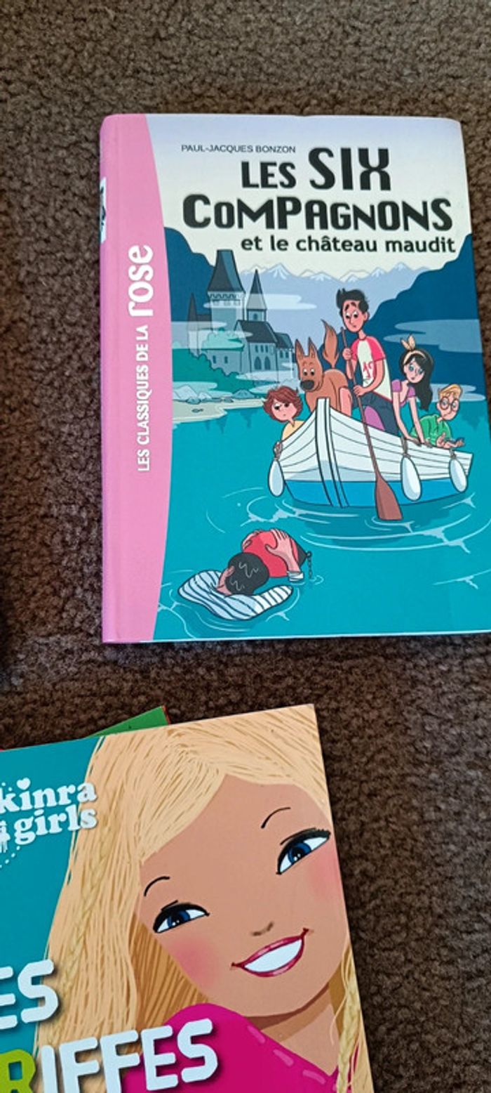 Lot 5 livres - photo numéro 6