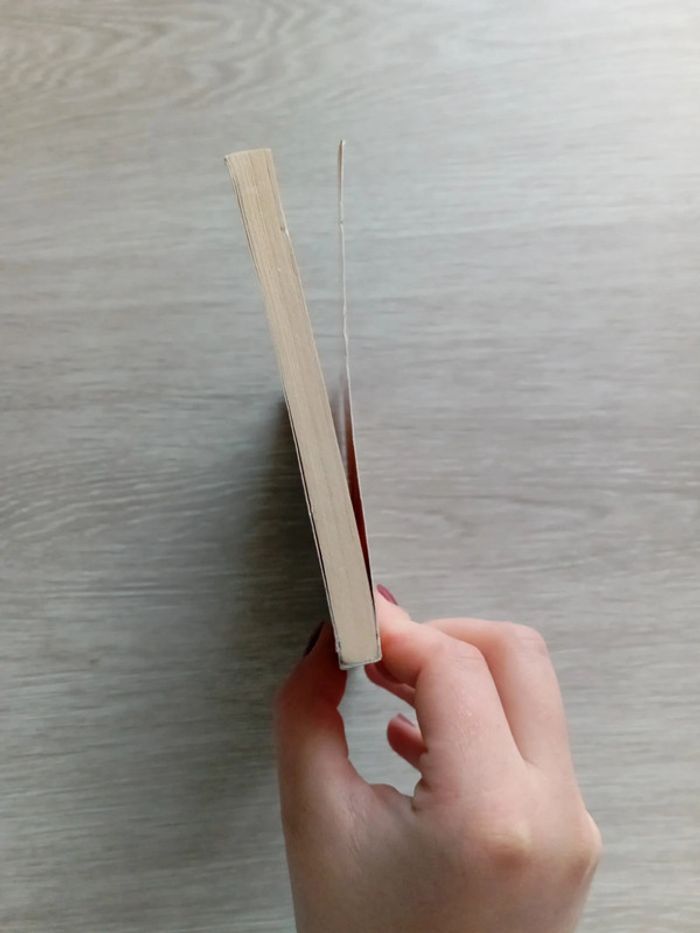 Livre : Yvain ou le Chevalier au lion de Chrétien de Troyes - photo numéro 6