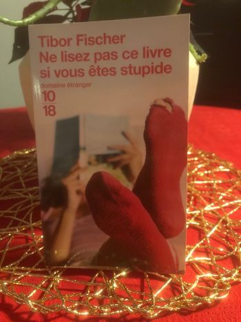 Ne lisez pas ce livre si vous êtes stupide - Tibor Fischer