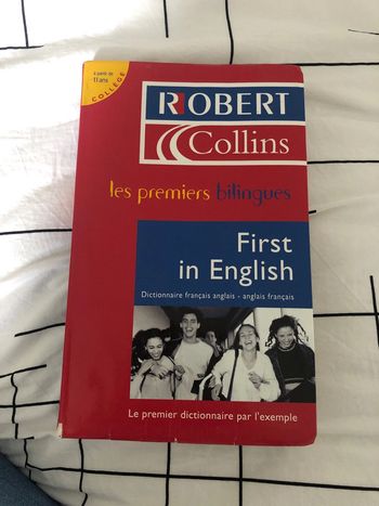 Les premiers bilingues collège