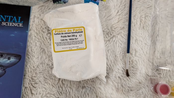 Jouet Kit Requin de Wild! Science neuf - photo numéro 7