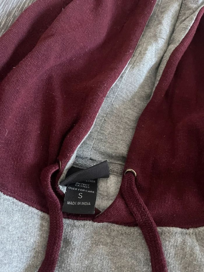 Pulli - photo numéro 3