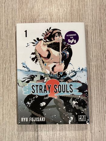 Stray Souls Tome 1