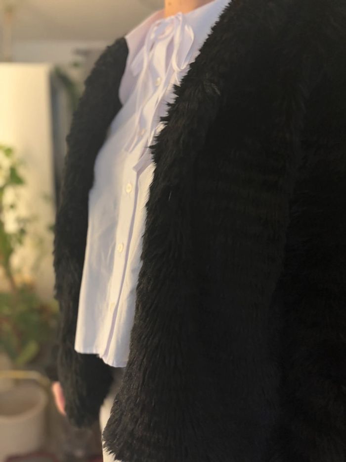Manteau fourrure - photo numéro 4