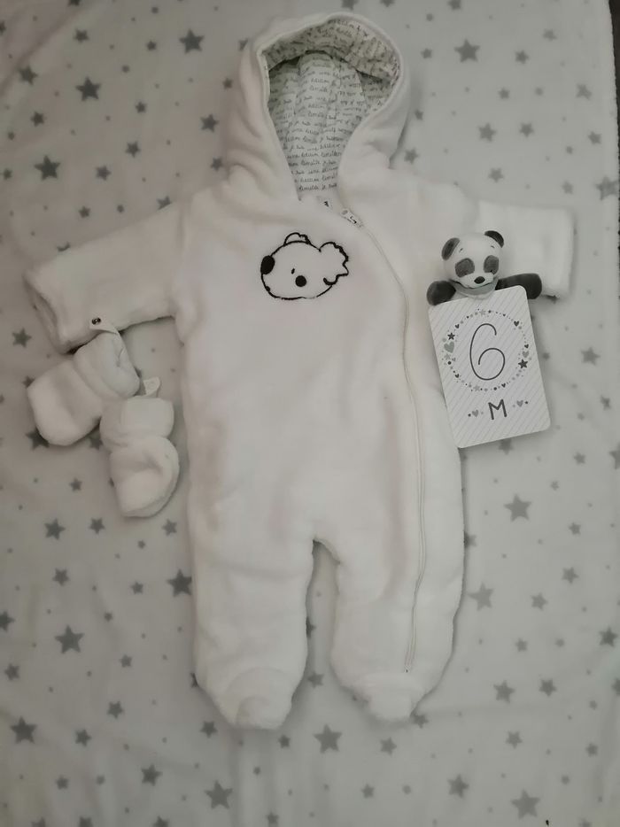 Combi pilot koala