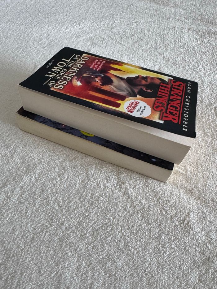 Livres Stranger Things - photo numéro 3