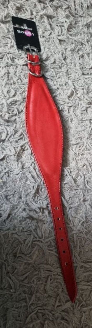 Collier Lévrier Nicky rouge en cuir 45