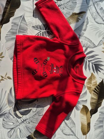 Pull polaire
