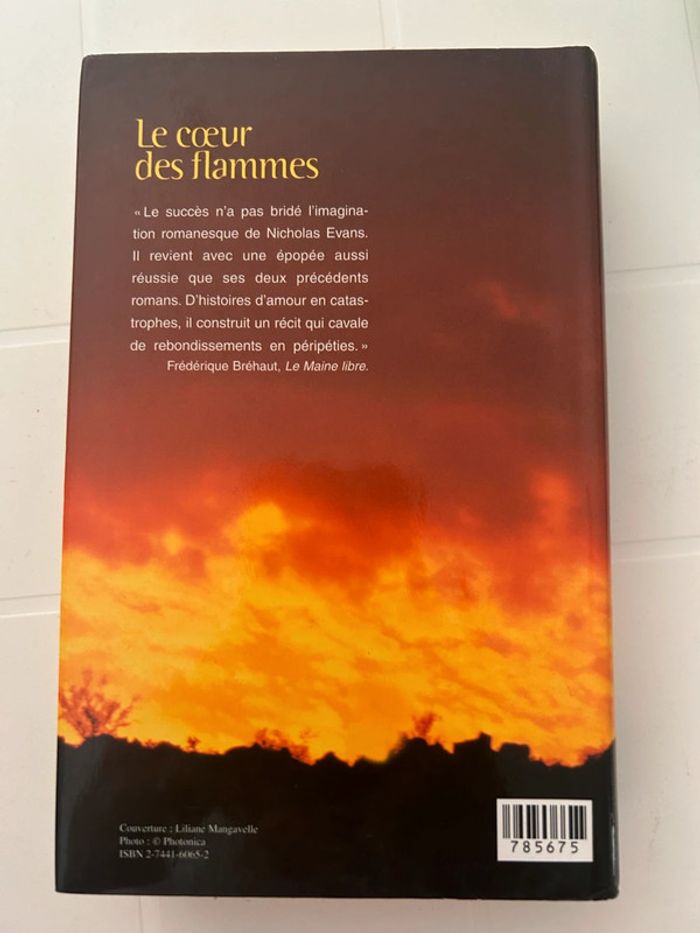Le cœur des flammes - photo numéro 2