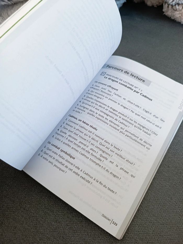 Livre le monstre aux limites de l'humain - photo numéro 3