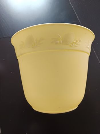 Pot de fleurs 