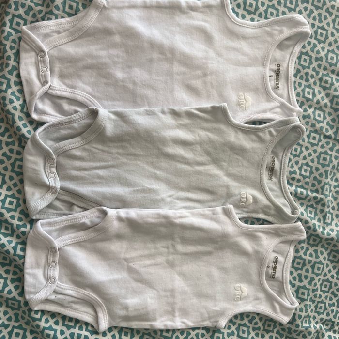 Bodys orchestra - photo numéro 2