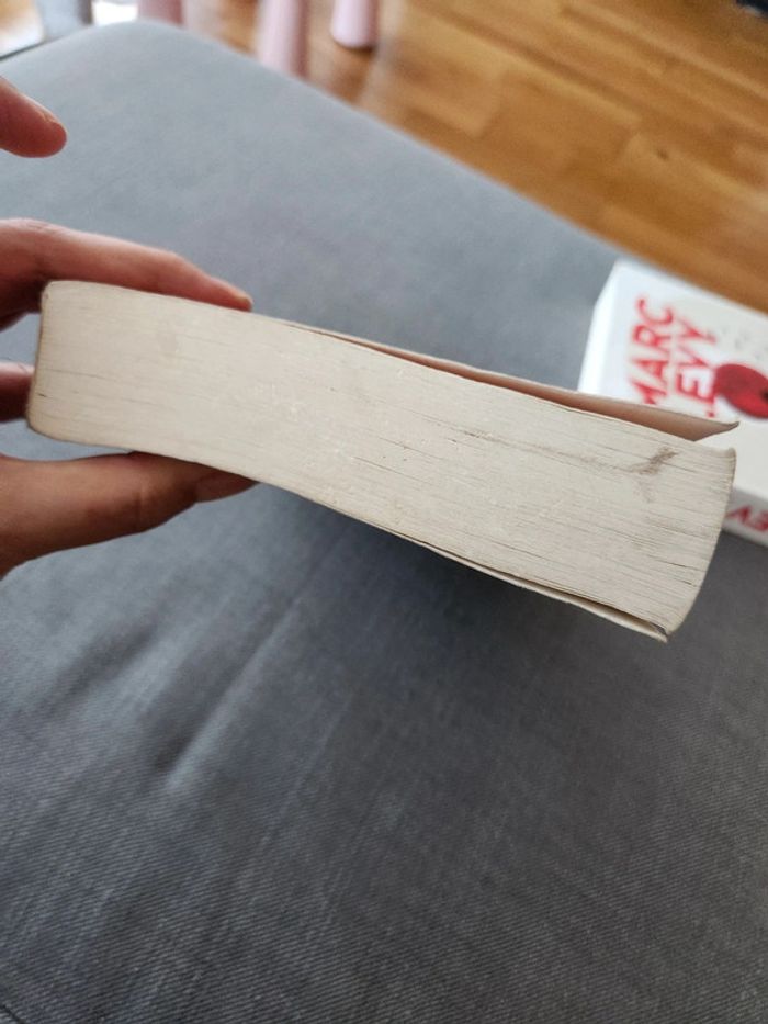 En lot ou à l'unité : Livre Mes amis Mes amours - Marc Levy - photo numéro 5