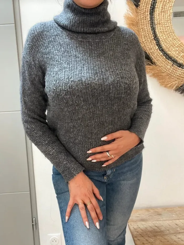 Pull col roulé Alexandre Laurent