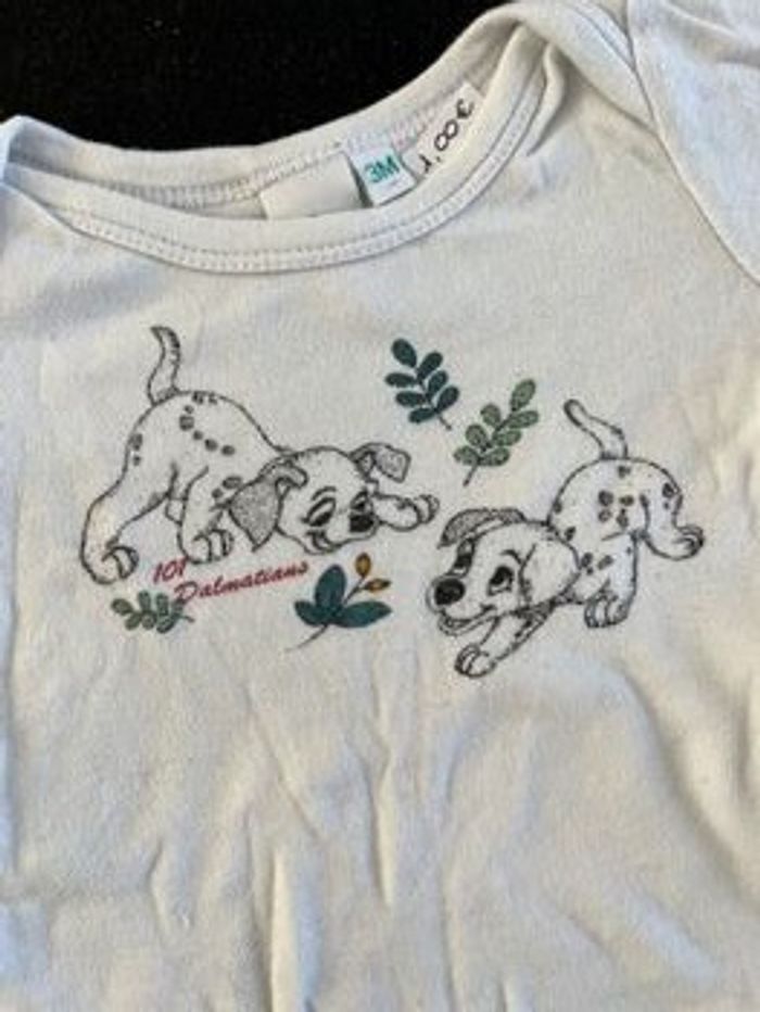 Bodie 3 mois - photo numéro 4