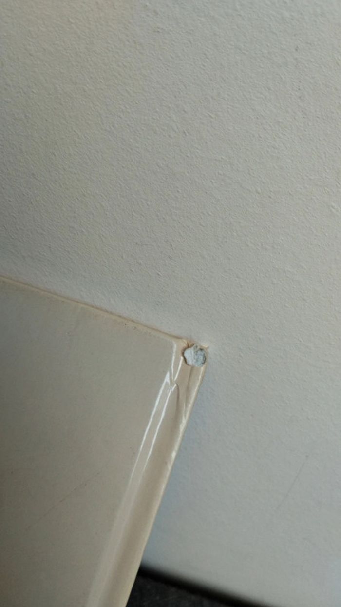 Juliette à la ferme - photo numéro 3