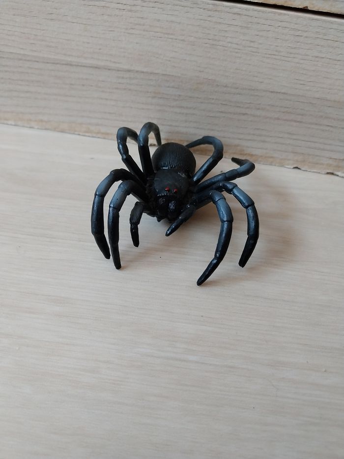 Lot insecte - photo numéro 2