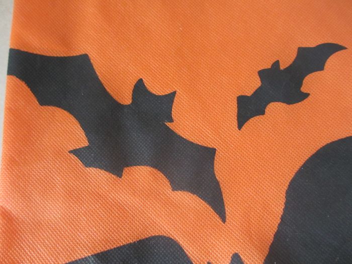 Sac Halloween 21,5 x 24,5 cm - photo numéro 2