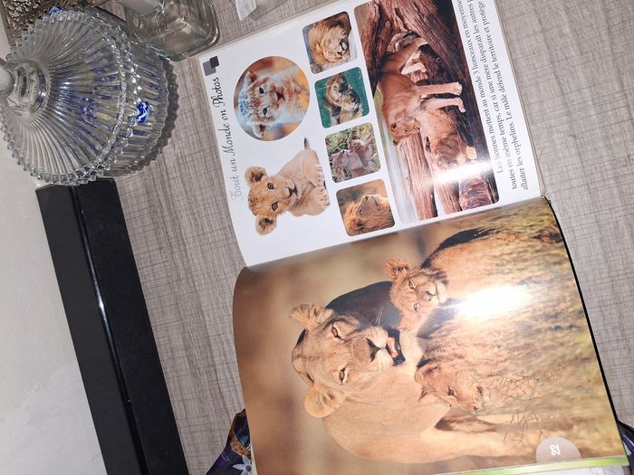 Livres animaux Les félins du monde - photo numéro 3