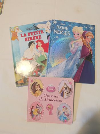 Livres princesse