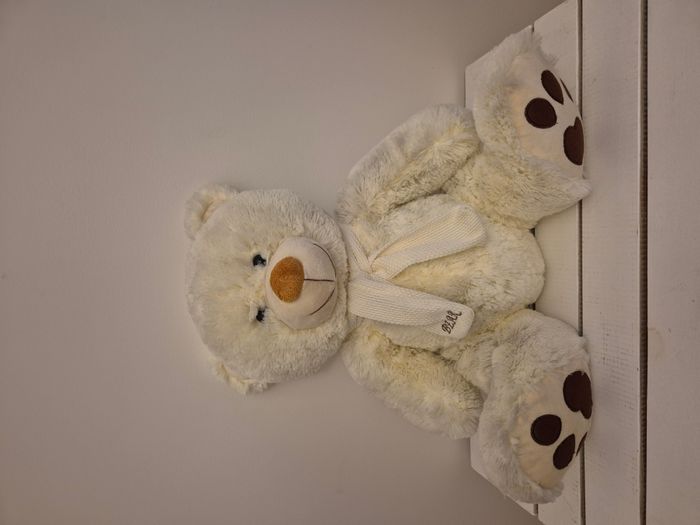 Ours en peluche