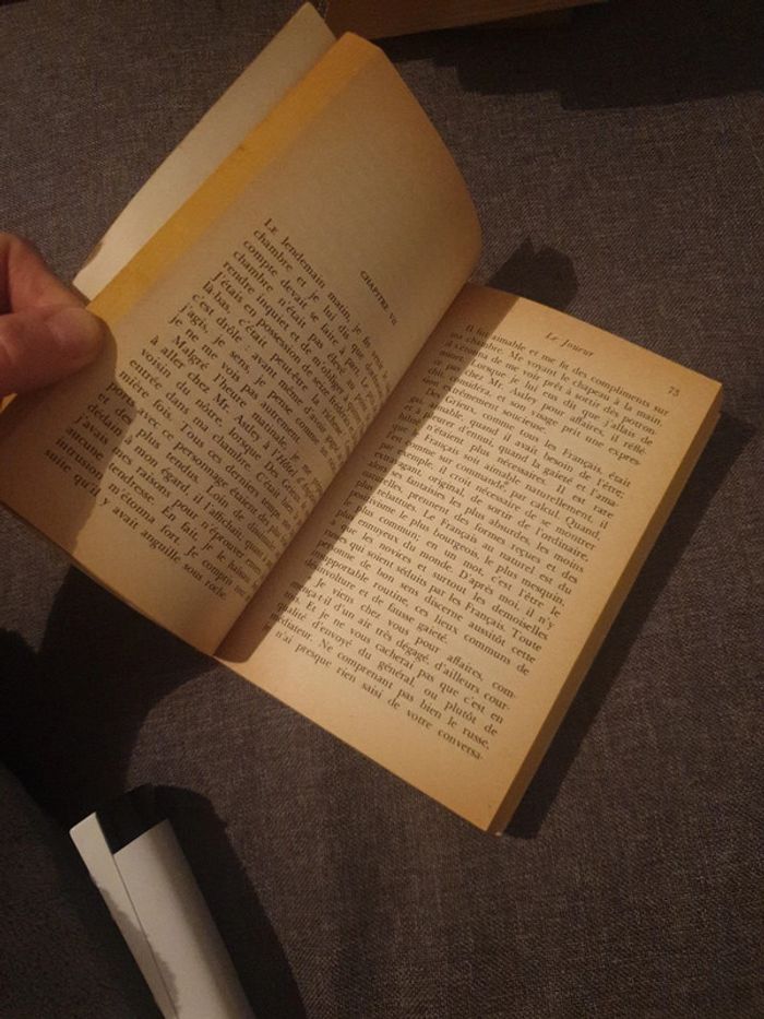 Livre le joueur Dostoïevski - photo numéro 3