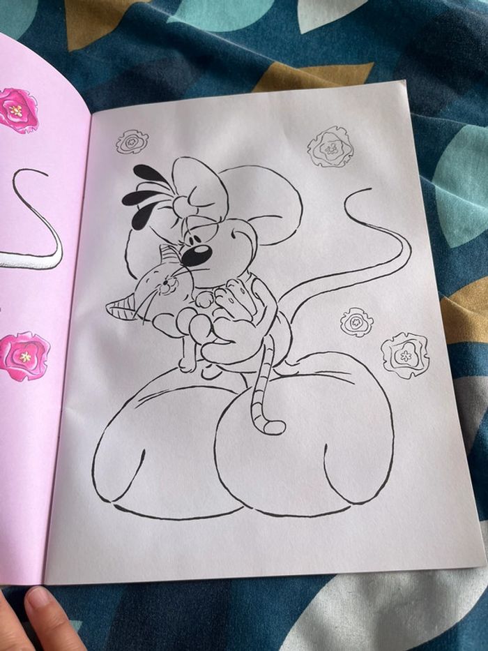 Livre coloriage diddl - photo numéro 5