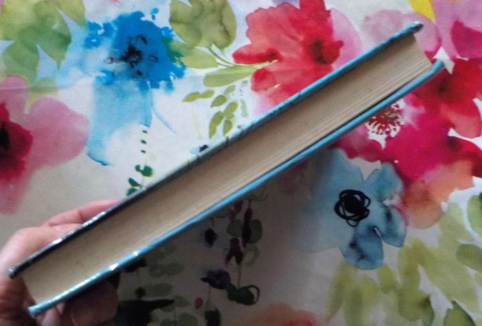 Le nain jaune de Pascal Jardin Ed. France Loisirs - photo numéro 4