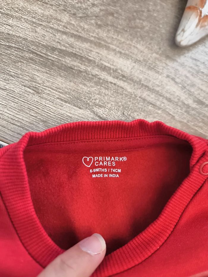 Ensemble molletonné 2 pièces garçon 9 mois 74cm Primark - photo numéro 11