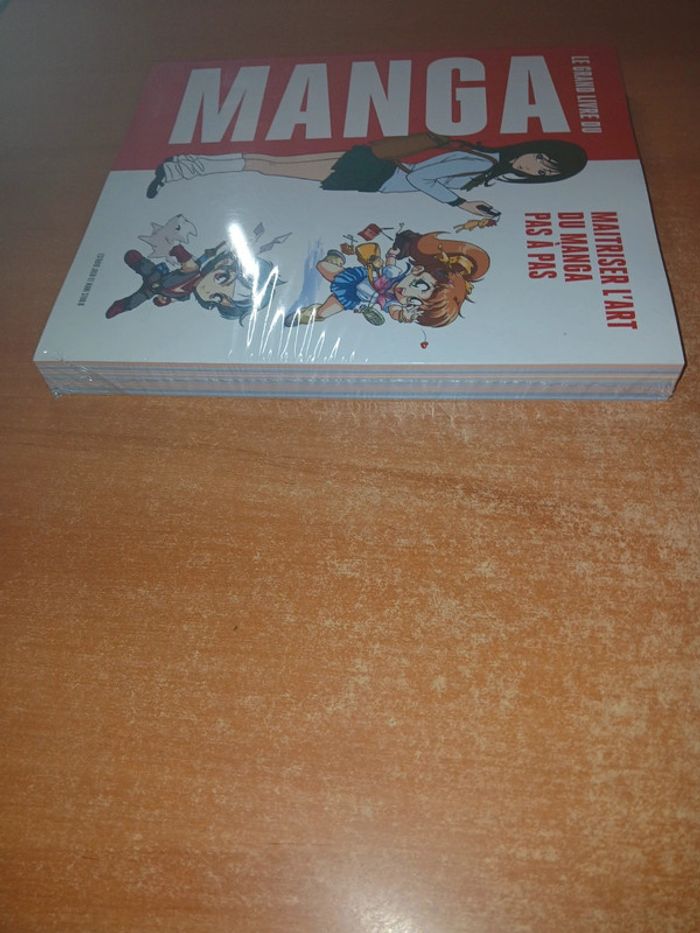 Le grand livre du manga maîtriser l'art du manga pas à pas - photo numéro 3