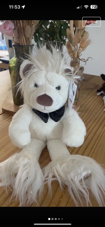 Doudou histoire d ours