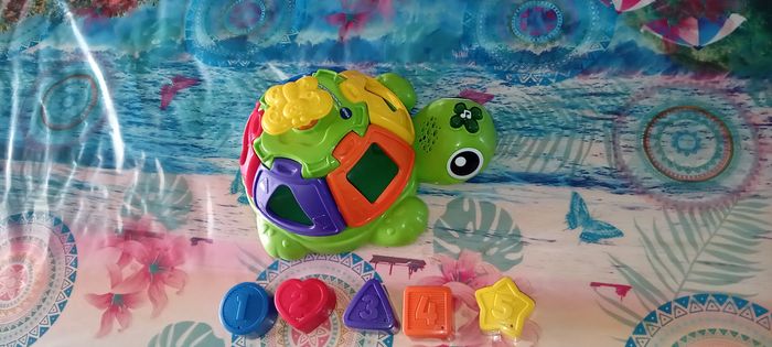 Tortue d'éveil - photo numéro 2