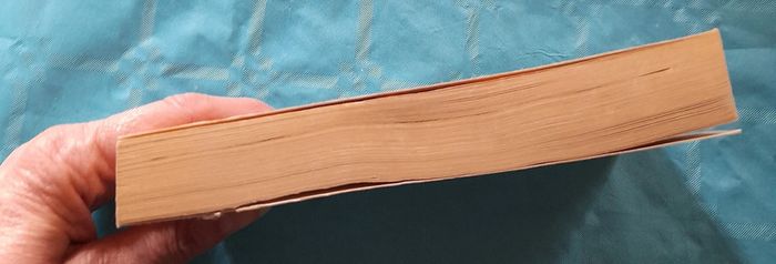 Le juge d'Egypte T1 La pyramide assassinée de Christian Jacq Ed. Pocket - photo numéro 5