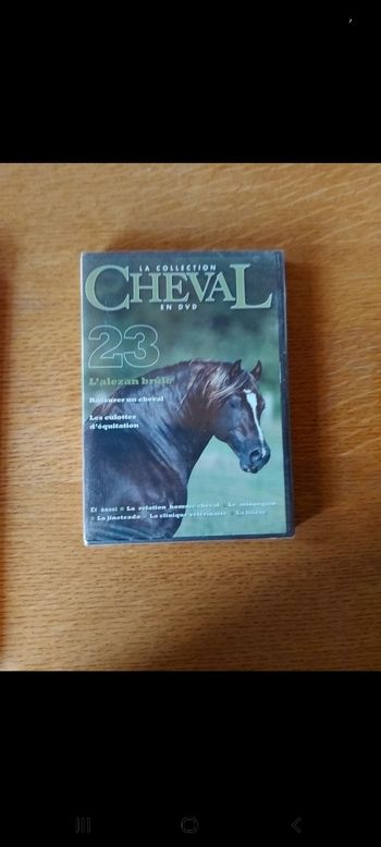 DVD