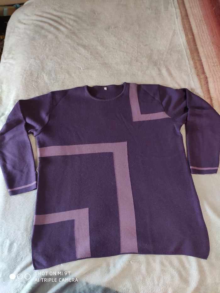 Pull femme taille 54/56 - photo numéro 2