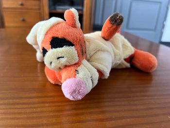 Tigrou endormi sur le ventre