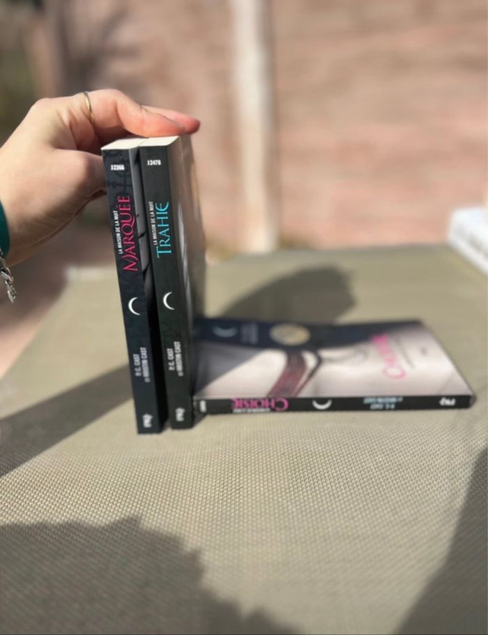 Livres fantaisie ado - photo numéro 3