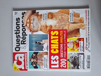 Ca m'intéresse : Questions réponses insolites sur les chats