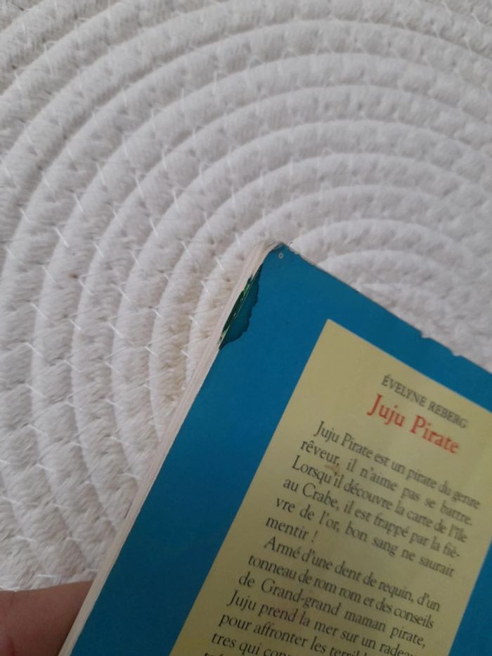 Livre Juju pirate - photo numéro 5