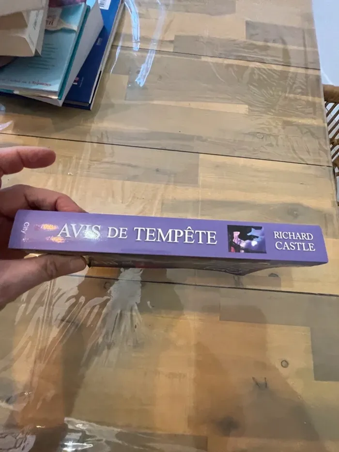 Avis de tempête - photo numéro 2