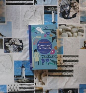 Donne-moi le monde de Lloyd Jones