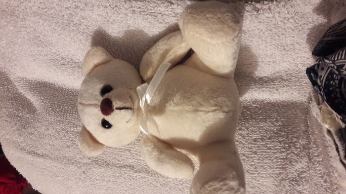 Peluche - photo numéro 8