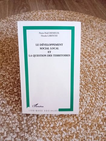 Le développement social local et la question des territoires