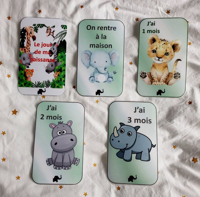 Cartes étape - Thème Jungle - photo numéro 2