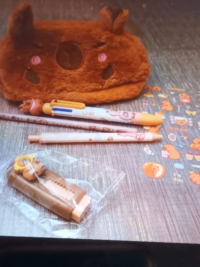 Trousse Capybara et ses accessoires - photo numéro 2