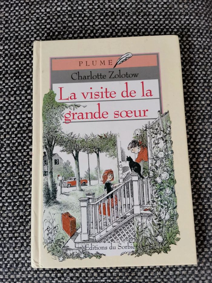 Livre la visite de la grande sœur