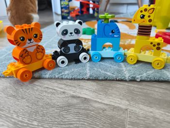 Train animaux 