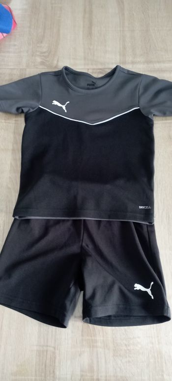 Ensemble Puma
