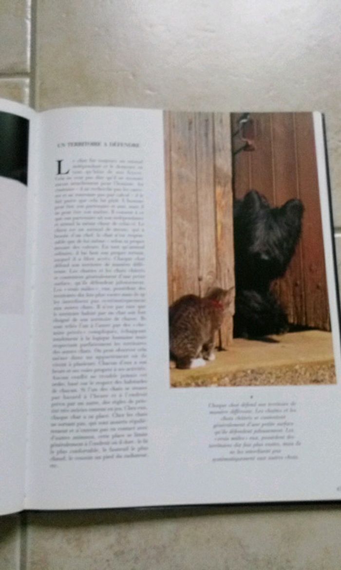 Beau livre sur les chats - photo numéro 4