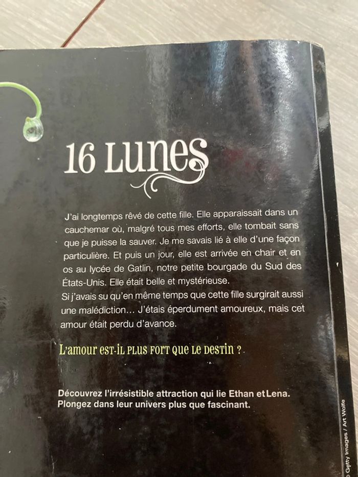 16 lunes - photo numéro 4